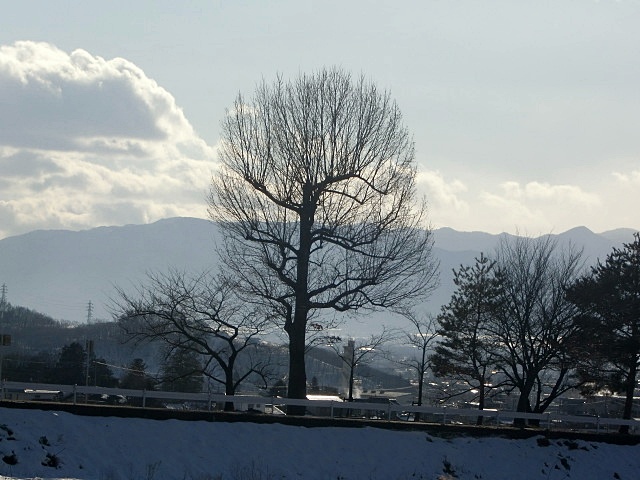 e0234924_16445393.jpg