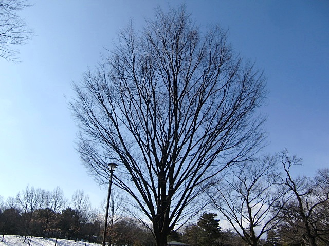 e0234924_16481147.jpg