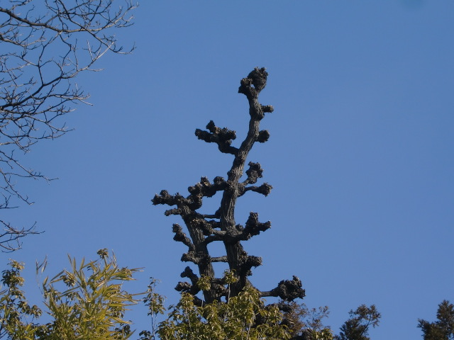 e0234924_1654451.jpg
