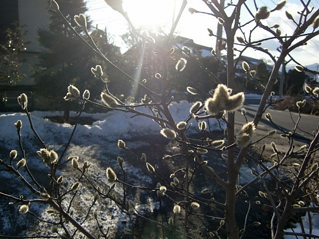 e0234924_171658.jpg