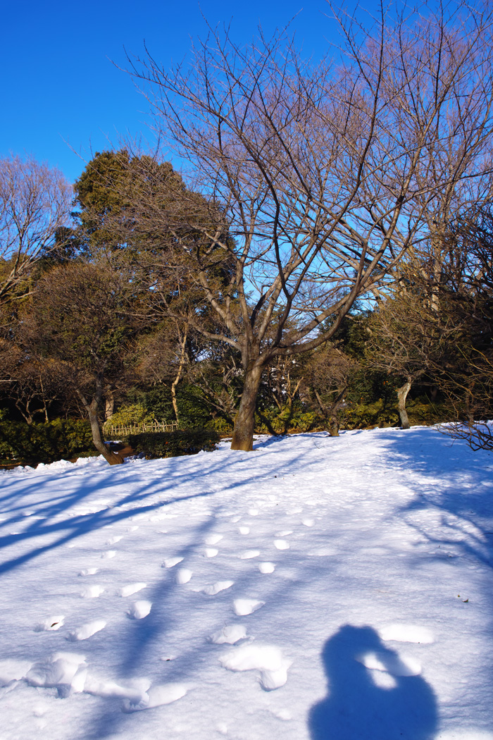 c0223825_1204133.jpg