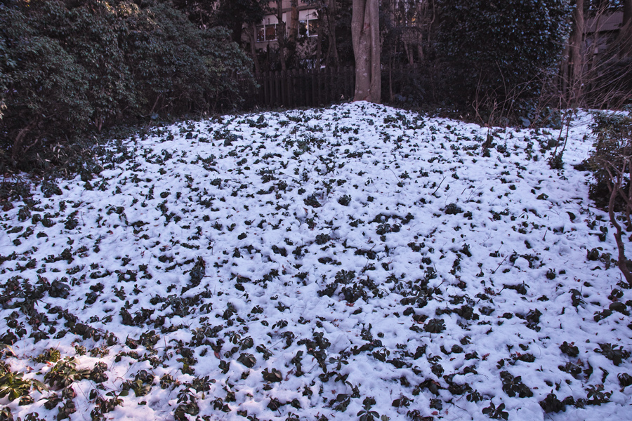 c0223825_1293073.jpg