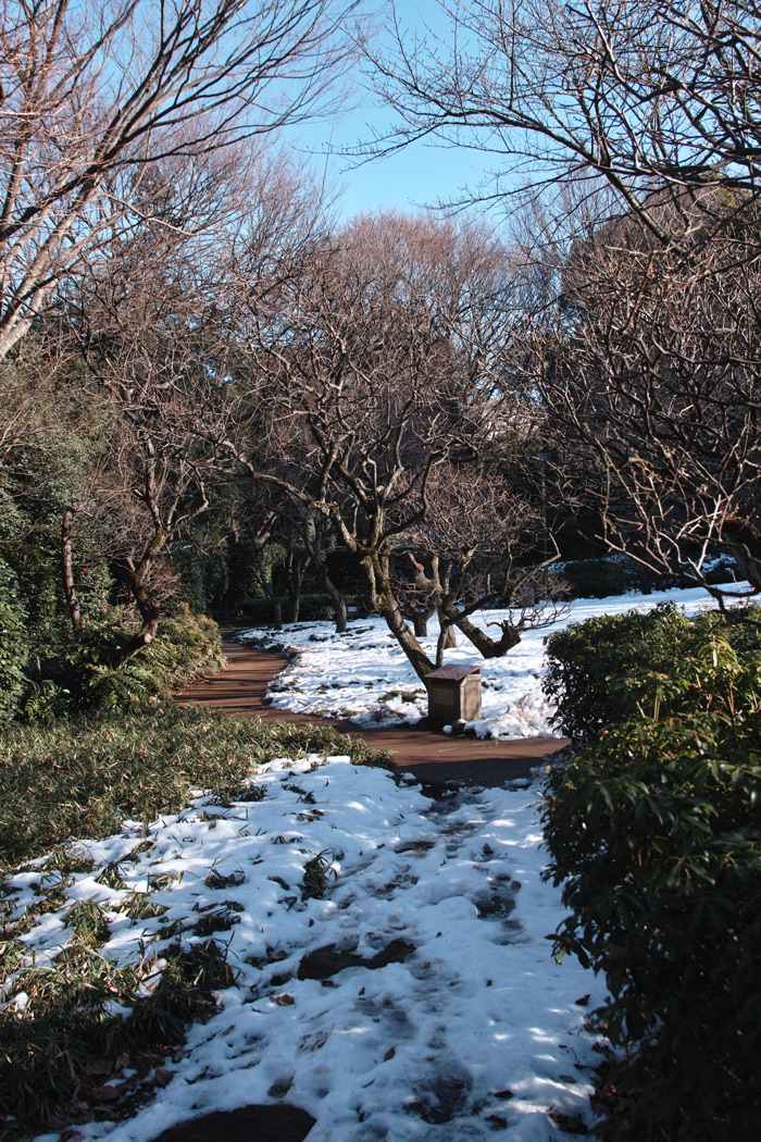c0223825_1423867.jpg