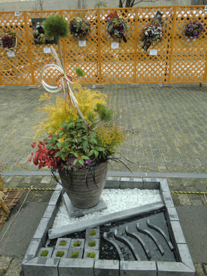 e0255026_1133473.gif