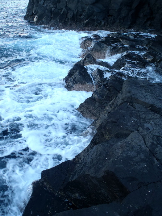 f0103126_22224597.jpg