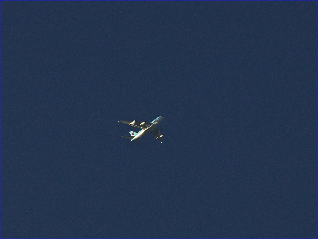 d0137627_0295190.jpg