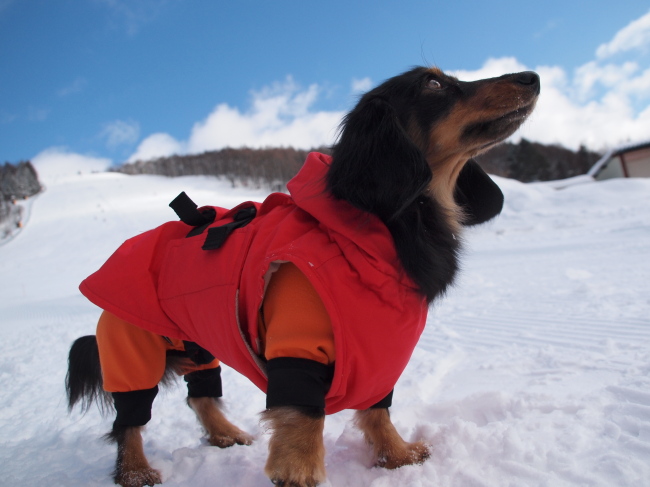 １３年１月２７日　菅平スキー＆雪遊び旅行２日目♪_c0117831_2151444.jpg