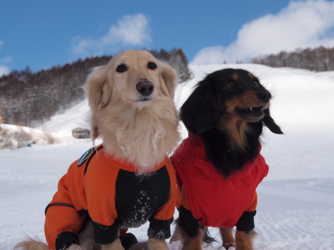 １３年１月２７日　菅平スキー＆雪遊び旅行２日目♪_c0117831_215488.jpg