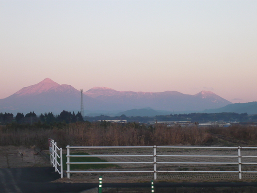 宮崎日日新聞(文芸)川柳の日！！　　霧島連山・桜草_a0206332_8332934.jpg