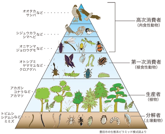 「こどもエコフォーラム」に参加しました_a0120033_15183629.jpg