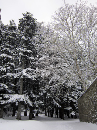 雪のラヴェルナ、カマルドリ_f0234936_75248.jpg