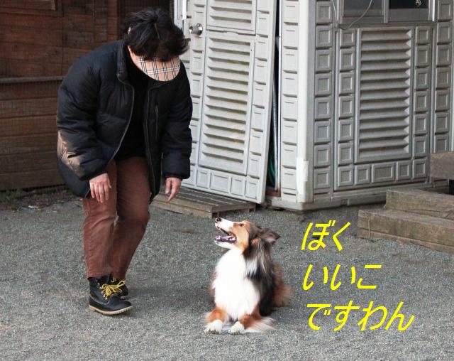 「パーカー」って頭を引っ張ることわん?_e0195743_073697.jpg