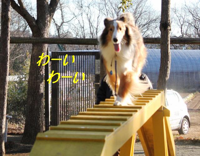 「パーカー」って頭を引っ張ることわん?_e0195743_075818.jpg