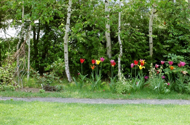 f0202445_227537.jpg