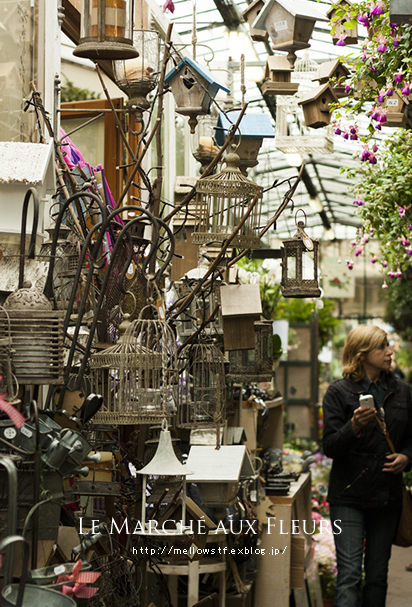 パリ旅行 2012-19 シテ島の花市 その2_d0124248_21361643.jpg