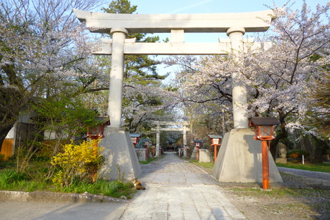 b0238249_2032252.jpg