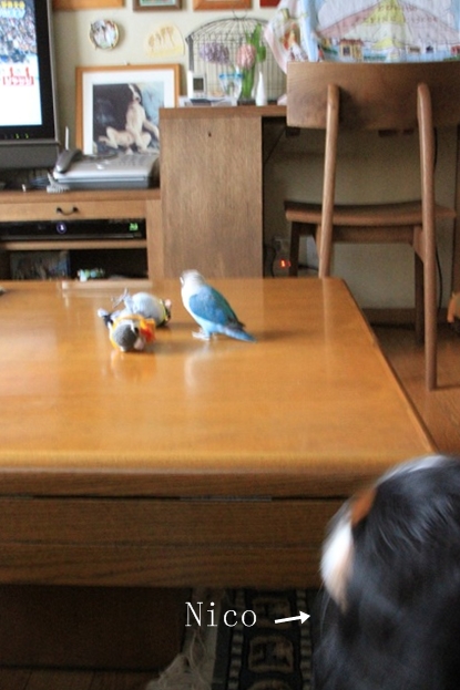 c0145250_1042839.jpg