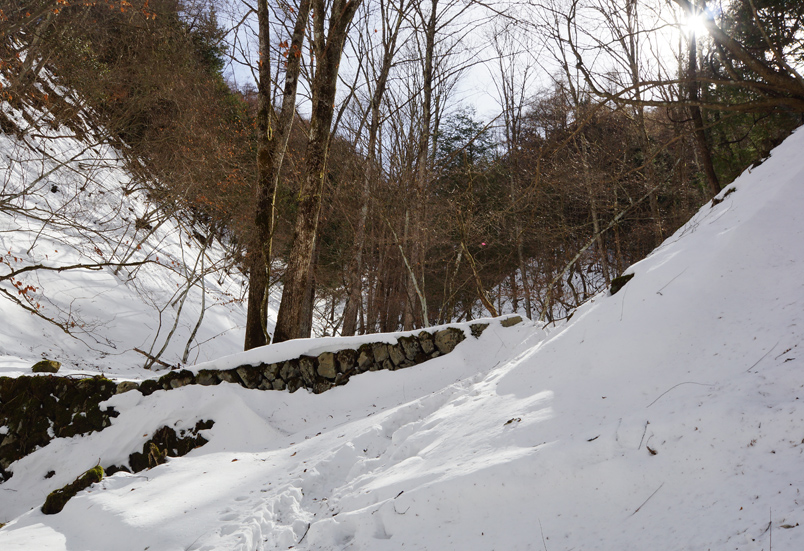 川ノリ山でノリノリッ♪_f0016656_9461692.jpg