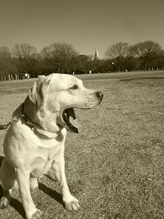 sunday brunch 真冬の公園 のち♪_a0165160_71048.jpg