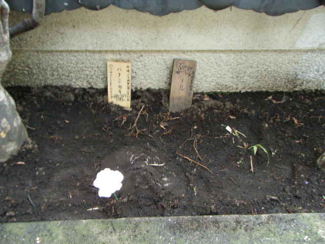 a0200361_9443528.jpg