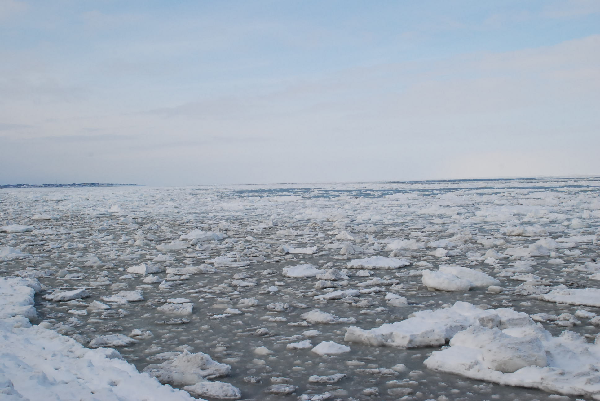 c0242062_1664850.jpg