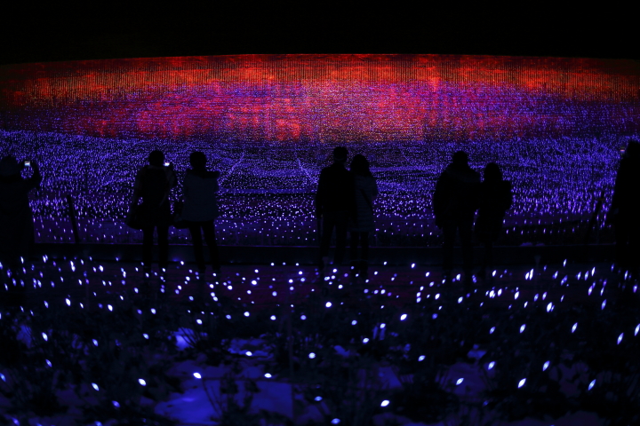 Winter Illumination 冬華の競演　【テーマは「大自然」】_d0108063_2112263.jpg