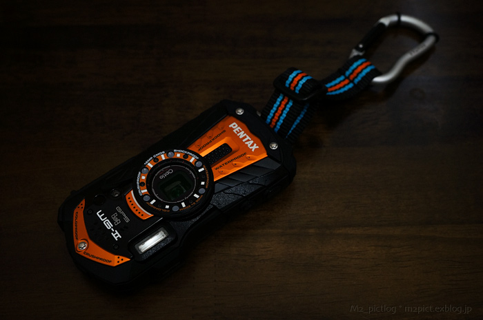 Shiny Orange_e0097970_857315.jpg