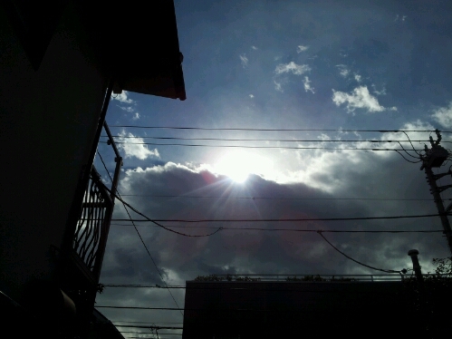 2013年1月第四週のつぶやき_b0116271_10313745.jpg