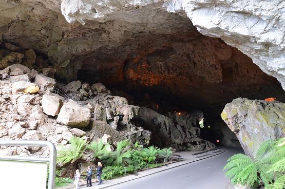 e0126680_207080.jpg
