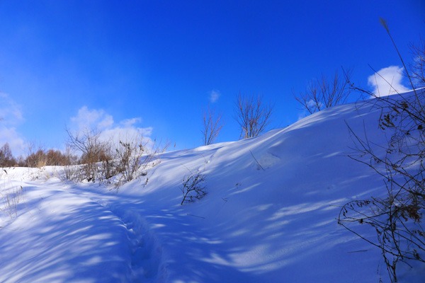 １月２８日　春を待つ！_a0130586_11173939.jpg