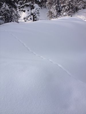 雪山。_c0234987_16353097.jpg