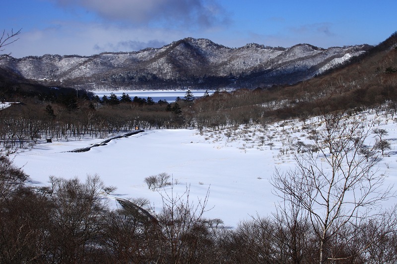 e0305388_1031334.jpg
