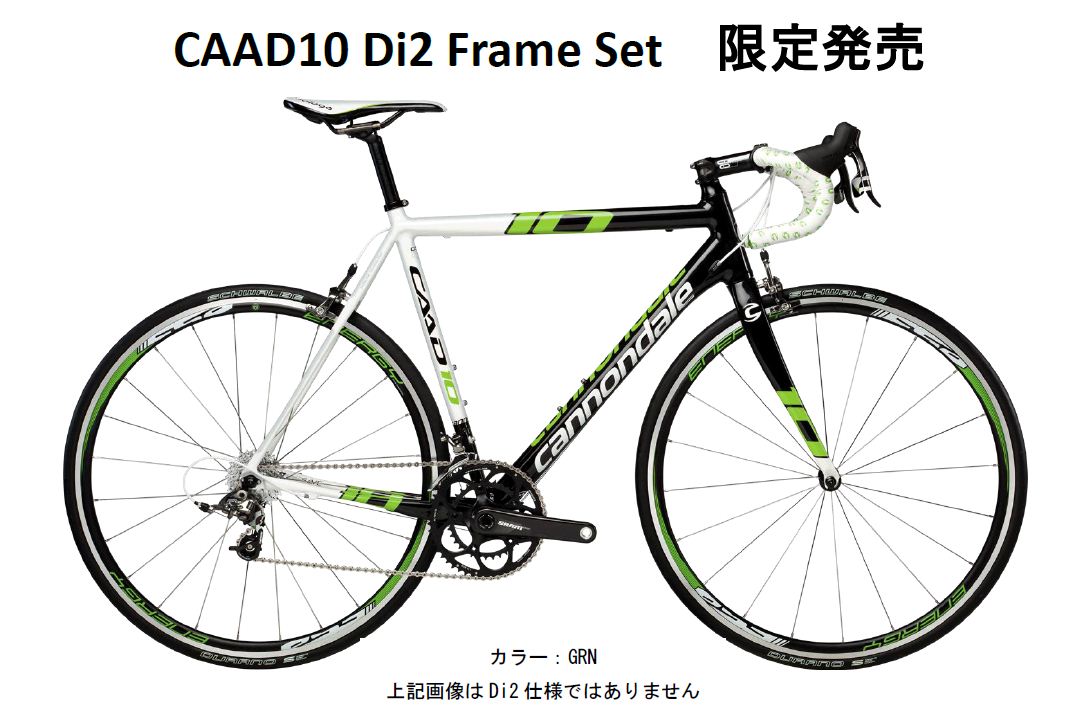 ★限定商品 CAAD10 Di-2専用フレーム★_a0262093_17435941.jpg