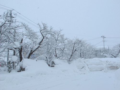 本当の米沢の大寒、工学部キャンパス風景（２）２０１３．１．２９_c0075701_902480.jpg