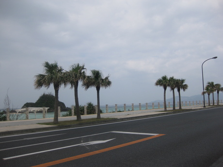 a0224502_2011514.jpg
