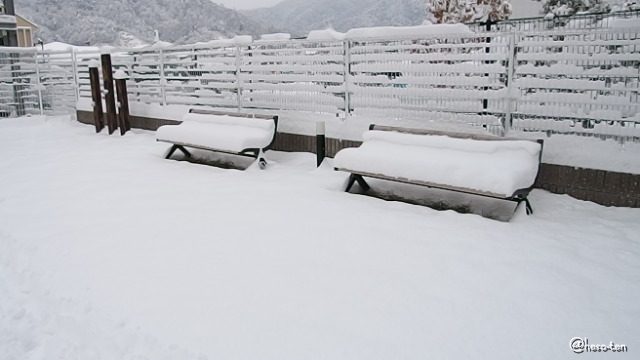 雪、その後_e0307102_12204771.jpg