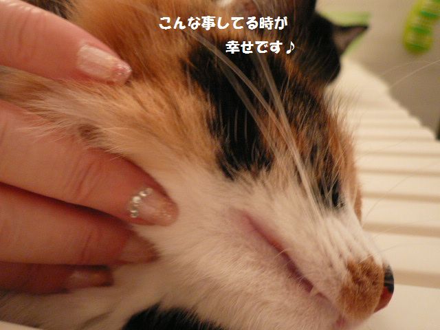 e0094407_0501487.jpg