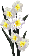f0231709_10584687.png
