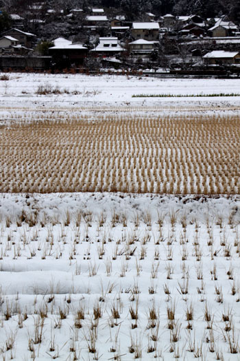 大原 雪化粧_e0048413_1947837.jpg