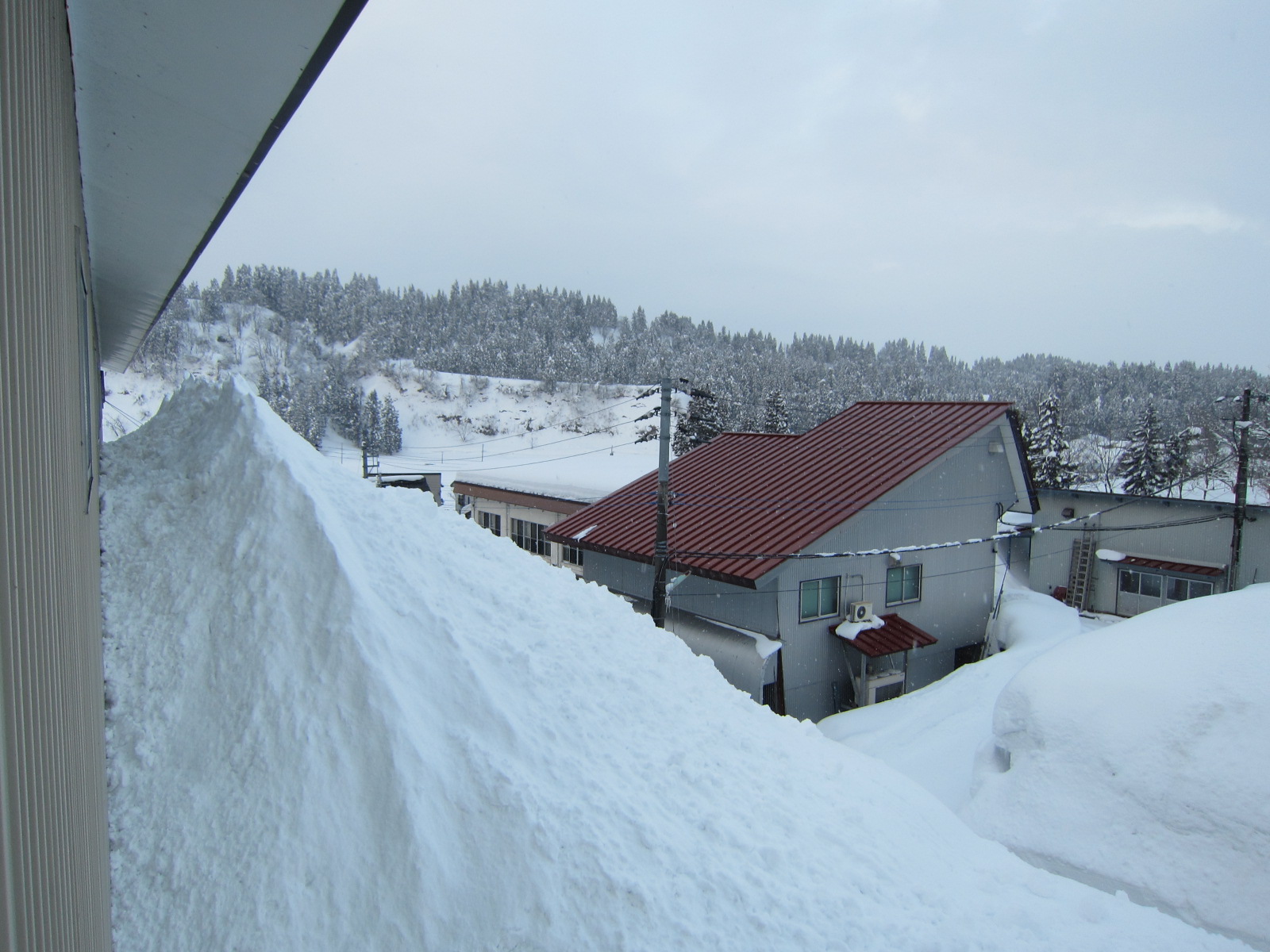 平年並みの大雪　_f0067514_11121946.jpg