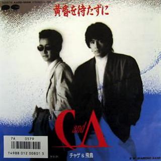 チャゲ&飛鳥 全シングル & ベスト : 懐かしいアナログ盤♪ チャゲ&飛鳥 全シングル & ベスト : 懐かしいアナログ盤♪