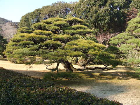 c0091826_111346.jpg