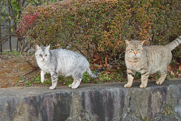 f0214527_2138023.jpg