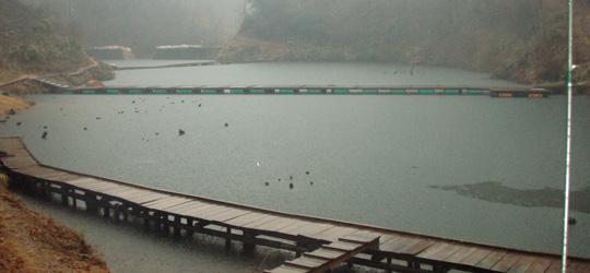 b0169939_17462720.jpg
