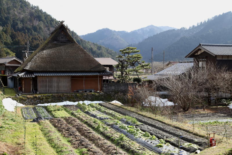 近畿　2013新春　その2(美山町北集落)_b0168647_22542837.jpg