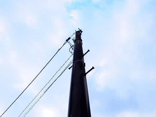 f0108347_23574627.jpg