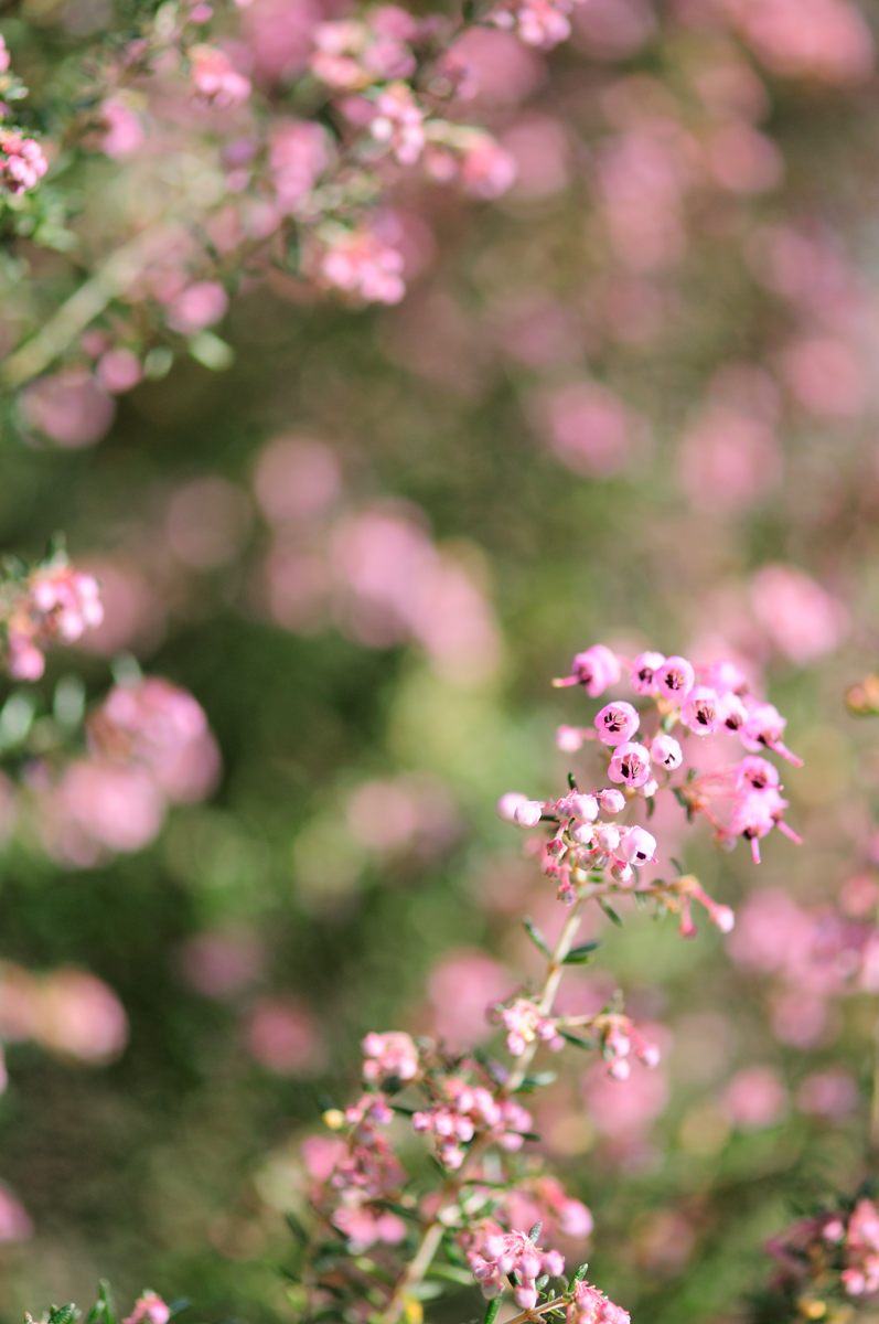 f0224648_11441670.jpg