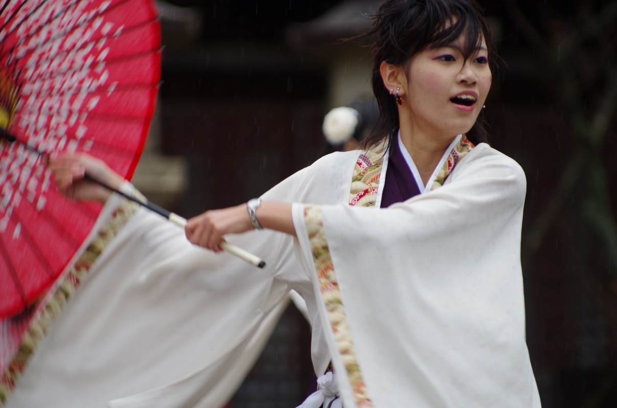 龍馬よさこい２０１２京都霊山護国神社会場その４（同志社大学「心粋」）_a0009554_22261253.jpg