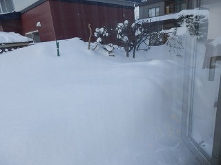 大雪_e0004756_2228351.jpg