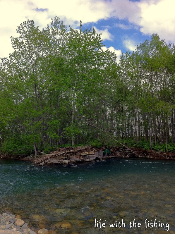 f0239659_22656.jpg